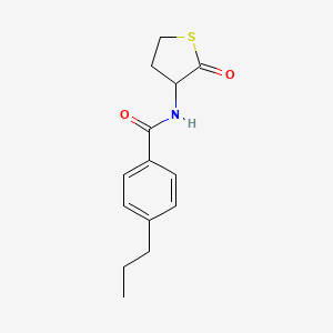molecular formula C14H17NO2S B4268430 N-(2-oxotetrahydrothiophen-3-yl)-4-propylbenzamide 