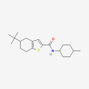 molecular formula C20H31NOS B4268677 N-(4-METHYLCYCLOHEXYL)-5-(2-METHYL-2-PROPANYL)-4,5,6,7-TETRAHYDRO-1-BENZOTHIOPHENE-2-CARBOXAMIDE 