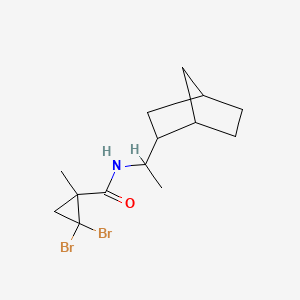 molecular formula C14H21Br2NO B4278974 N-[1-(bicyclo[2.2.1]hept-2-yl)ethyl]-2,2-dibromo-1-methylcyclopropanecarboxamide 
