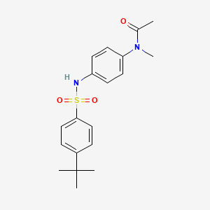 molecular formula C19H24N2O3S B4286843 N-[4-(4-TERT-BUTYLBENZENESULFONAMIDO)PHENYL]-N-METHYLACETAMIDE 