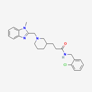 molecular formula C24H29ClN4O B4288311 N-(2-chlorobenzyl)-3-{1-[(1-methyl-1H-benzimidazol-2-yl)methyl]-3-piperidinyl}propanamide 