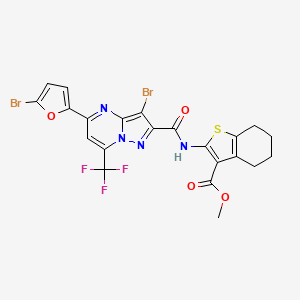 molecular formula C22H15Br2F3N4O4S B4290705 METHYL 2-[3-BROMO-5-(5-BROMOFURAN-2-YL)-7-(TRIFLUOROMETHYL)PYRAZOLO[1,5-A]PYRIMIDINE-2-AMIDO]-4,5,6,7-TETRAHYDRO-1-BENZOTHIOPHENE-3-CARBOXYLATE 