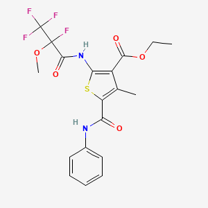 molecular formula C19H18F4N2O5S B4293058 ETHYL 4-METHYL-5-(PHENYLCARBAMOYL)-2-(2,3,3,3-TETRAFLUORO-2-METHOXYPROPANAMIDO)THIOPHENE-3-CARBOXYLATE 