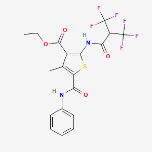 molecular formula C19H16F6N2O4S B4297802 ETHYL 4-METHYL-5-(PHENYLCARBAMOYL)-2-[3,3,3-TRIFLUORO-2-(TRIFLUOROMETHYL)PROPANAMIDO]THIOPHENE-3-CARBOXYLATE 