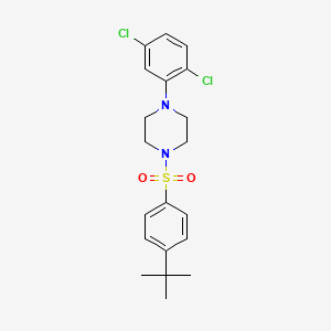 molecular formula C20H24Cl2N2O2S B4300306 1-(4-Tert-butylbenzenesulfonyl)-4-(2,5-dichlorophenyl)piperazine 