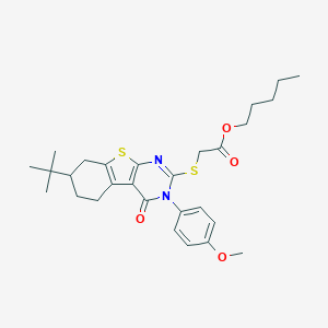 molecular formula C28H36N2O4S2 B430430 Pentyl {[7-tert-butyl-3-(4-methoxyphenyl)-4-oxo-3,4,5,6,7,8-hexahydro[1]benzothieno[2,3-d]pyrimidin-2-yl]sulfanyl}acetate 