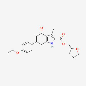 molecular formula C23H27NO5 B4305071 TETRAHYDRO-2-FURANYLMETHYL 6-(4-ETHOXYPHENYL)-3-METHYL-4-OXO-4,5,6,7-TETRAHYDRO-1H-INDOLE-2-CARBOXYLATE 