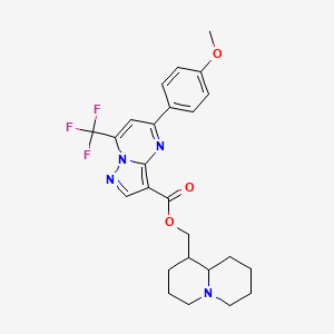 molecular formula C25H27F3N4O3 B4306917 octahydro-2H-quinolizin-1-ylmethyl 5-(4-methoxyphenyl)-7-(trifluoromethyl)pyrazolo[1,5-a]pyrimidine-3-carboxylate 