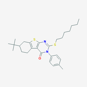 B430741 7-Tert-butyl-2-heptylsulfanyl-3-(4-methylphenyl)-5,6,7,8-tetrahydro-[1]benzothiolo[2,3-d]pyrimidin-4-one CAS No. 351160-45-7
