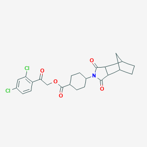 molecular formula C24H25Cl2NO5 B431832 2-(2,4-dichlorophenyl)-2-oxoethyl 4-(1,3-dioxooctahydro-2H-4,7-methanoisoindol-2-yl)cyclohexanecarboxylate CAS No. 1005112-02-6
