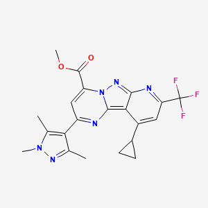 molecular formula C21H19F3N6O2 B4351195 methyl 13-cyclopropyl-11-(trifluoromethyl)-4-(1,3,5-trimethylpyrazol-4-yl)-3,7,8,10-tetrazatricyclo[7.4.0.02,7]trideca-1,3,5,8,10,12-hexaene-6-carboxylate 