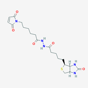 molecular formula C20H29N5O5S B043558 Biotin-maleimide CAS No. 116919-18-7