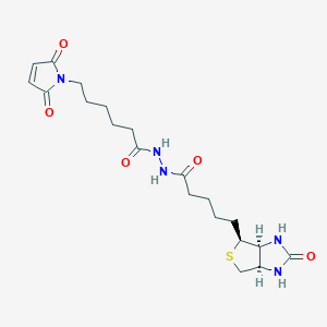 molecular formula C20H29N5O5S B043558 N-生物素酰基-N'-(马来酰亚胺己酰基)肼 CAS No. 116919-18-7