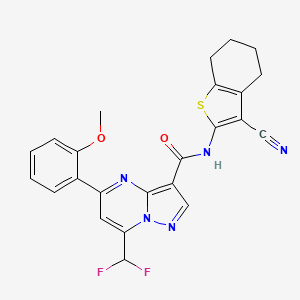 molecular formula C24H19F2N5O2S B4362286 N-(3-cyano-4,5,6,7-tetrahydro-1-benzothiophen-2-yl)-7-(difluoromethyl)-5-(2-methoxyphenyl)pyrazolo[1,5-a]pyrimidine-3-carboxamide 