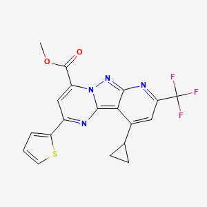 molecular formula C19H13F3N4O2S B4369840 methyl 13-cyclopropyl-4-thiophen-2-yl-11-(trifluoromethyl)-3,7,8,10-tetrazatricyclo[7.4.0.02,7]trideca-1,3,5,8,10,12-hexaene-6-carboxylate 