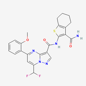 molecular formula C24H21F2N5O3S B4378572 N-[3-(AMINOCARBONYL)-4,5,6,7-TETRAHYDRO-1-BENZOTHIOPHEN-2-YL]-7-(DIFLUOROMETHYL)-5-(2-METHOXYPHENYL)PYRAZOLO[1,5-A]PYRIMIDINE-3-CARBOXAMIDE 