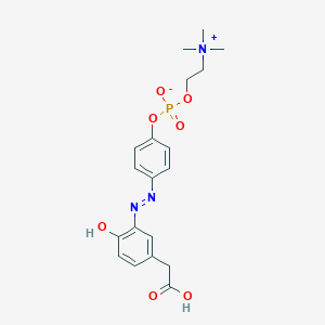 molecular formula C19H24N3O7P B043806 [4-[[5-(Carboxymethyl)-2-hydroxyphenyl]diazenyl]phenyl] 2-(trimethylazaniumyl)ethyl phosphate CAS No. 359435-74-8