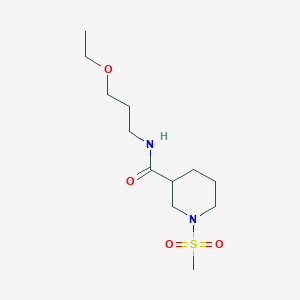 molecular formula C12H24N2O4S B4388107 N-(3-ETHOXYPROPYL)-1-METHANESULFONYLPIPERIDINE-3-CARBOXAMIDE 