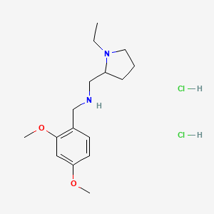 molecular formula C16H28Cl2N2O2 B4388714 N-[(2,4-dimethoxyphenyl)methyl]-1-(1-ethylpyrrolidin-2-yl)methanamine;dihydrochloride 