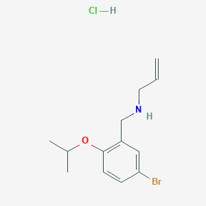 molecular formula C13H19BrClNO B4389839 N-[(5-bromo-2-propan-2-yloxyphenyl)methyl]prop-2-en-1-amine;hydrochloride 