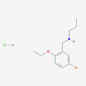 molecular formula C12H19BrClNO B4395616 N-[(5-bromo-2-ethoxyphenyl)methyl]propan-1-amine;hydrochloride 