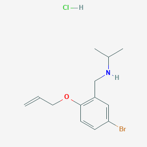 molecular formula C13H19BrClNO B4397335 N-[(5-bromo-2-prop-2-enoxyphenyl)methyl]propan-2-amine;hydrochloride 
