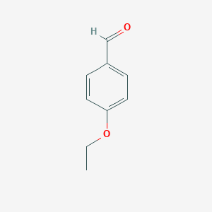 molecular formula C9H10O2 B043997 4-乙氧基苯甲醛 CAS No. 10031-82-0