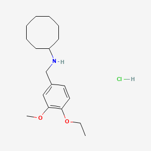 molecular formula C18H30ClNO2 B4399745 N-(4-ethoxy-3-methoxybenzyl)cyclooctanamine hydrochloride 