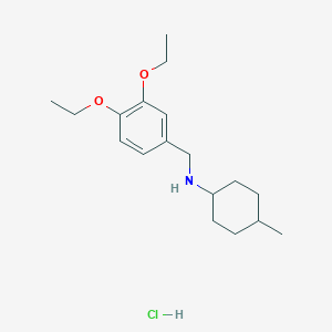 molecular formula C18H30ClNO2 B4400207 N-[(3,4-diethoxyphenyl)methyl]-4-methylcyclohexan-1-amine;hydrochloride 