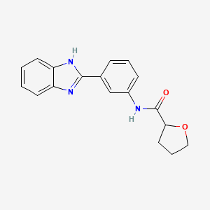 molecular formula C18H17N3O2 B4406466 N-[3-(1H-benzimidazol-2-yl)phenyl]oxolane-2-carboxamide 