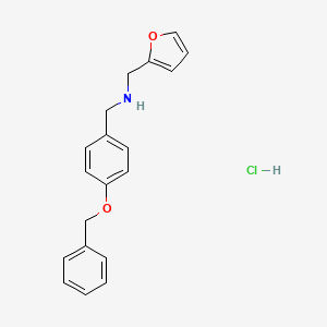 molecular formula C19H20ClNO2 B4406514 N-(furan-2-ylmethyl)-1-(4-phenylmethoxyphenyl)methanamine;hydrochloride 