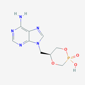 molecular formula C9H12N5O4P B044080 Chpmpa CAS No. 113892-17-4