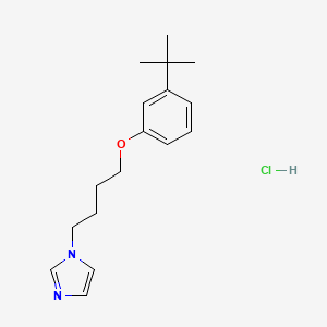 molecular formula C17H25ClN2O B4410219 1-[4-(3-Tert-butylphenoxy)butyl]imidazole;hydrochloride 