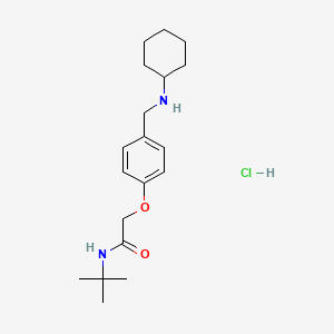 molecular formula C19H31ClN2O2 B4415471 N-tert-butyl-2-[4-[(cyclohexylamino)methyl]phenoxy]acetamide;hydrochloride 
