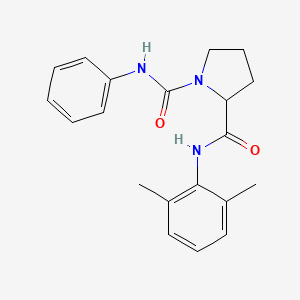 molecular formula C20H23N3O2 B4418892 N~2~-(2,6-dimethylphenyl)-N~1~-phenylpyrrolidine-1,2-dicarboxamide 