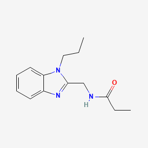 molecular formula C14H19N3O B4420710 N-[(1-propyl-1H-1,3-benzodiazol-2-yl)methyl]propanamide 