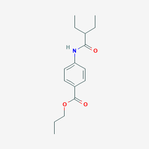 molecular formula C16H23NO3 B442534 Propyl 4-[(2-ethylbutanoyl)amino]benzoate 