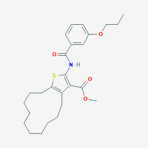 molecular formula C26H35NO4S B442580 Methyl 2-[(3-propoxybenzoyl)amino]-4,5,6,7,8,9,10,11,12,13-decahydrocyclododeca[b]thiophene-3-carboxylate 