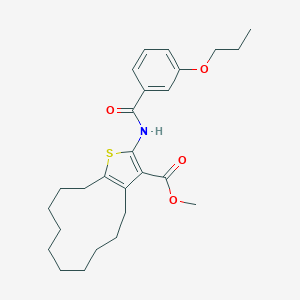 Methyl 2-[(3-propoxybenzoyl)amino]-4,5,6,7,8,9,10,11,12,13-decahydrocyclododeca[b]thiophene-3-carboxylate