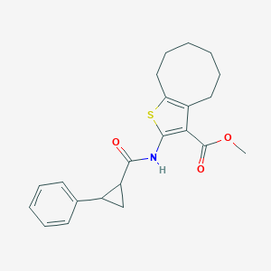 molecular formula C22H25NO3S B442960 Methyl 2-{[(2-phenylcyclopropyl)carbonyl]amino}-4,5,6,7,8,9-hexahydrocycloocta[b]thiophene-3-carboxylate 