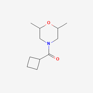 molecular formula C11H19NO2 B4430233 CYCLOBUTYL(2,6-DIMETHYLMORPHOLINO)METHANONE 