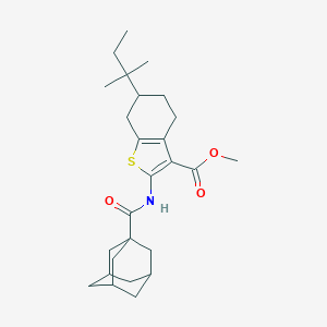 molecular formula C26H37NO3S B443058 Methyl 2-[(1-adamantylcarbonyl)amino]-6-tert-pentyl-4,5,6,7-tetrahydro-1-benzothiophene-3-carboxylate 