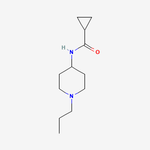 molecular formula C12H22N2O B4431311 N-(1-propylpiperidin-4-yl)cyclopropanecarboxamide 