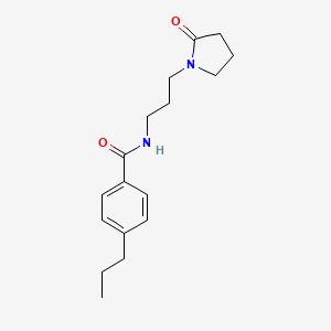 molecular formula C17H24N2O2 B4432271 N-[3-(2-oxopyrrolidin-1-yl)propyl]-4-propylbenzamide 
