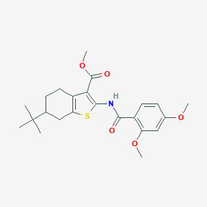 molecular formula C23H29NO5S B443254 Methyl 6-tert-butyl-2-[(2,4-dimethoxybenzoyl)amino]-4,5,6,7-tetrahydro-1-benzothiophene-3-carboxylate 