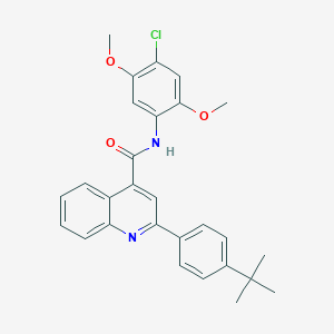 2-(4-tert-butylphenyl)-N-(4-chloro-2,5-dimethoxyphenyl)quinoline-4-carboxamide