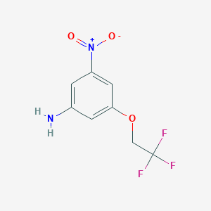 molecular formula C8H7F3N2O3 B444134 3-Nitro-5-(2,2,2-trifluoroethoxy)aniline CAS No. 329782-05-0