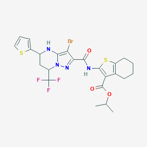 molecular formula C24H24BrF3N4O3S2 B444150 Isopropyl 2-({[3-bromo-5-(2-thienyl)-7-(trifluoromethyl)-4,5,6,7-tetrahydropyrazolo[1,5-a]pyrimidin-2-yl]carbonyl}amino)-4,5,6,7-tetrahydro-1-benzothiophene-3-carboxylate 