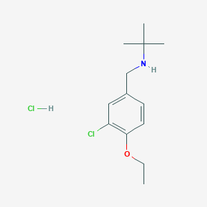 molecular formula C13H21Cl2NO B4444349 N-(3-chloro-4-ethoxybenzyl)-2-methylpropan-2-amine hydrochloride 