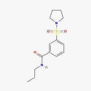 molecular formula C14H20N2O3S B4445215 N-propyl-3-(1-pyrrolidinylsulfonyl)benzamide 